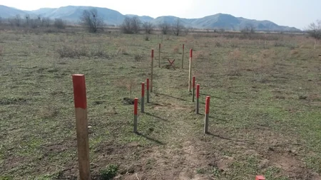 Cocuq Mərcanlıda 1 402 ədəd qəlpə aşkarlanıb