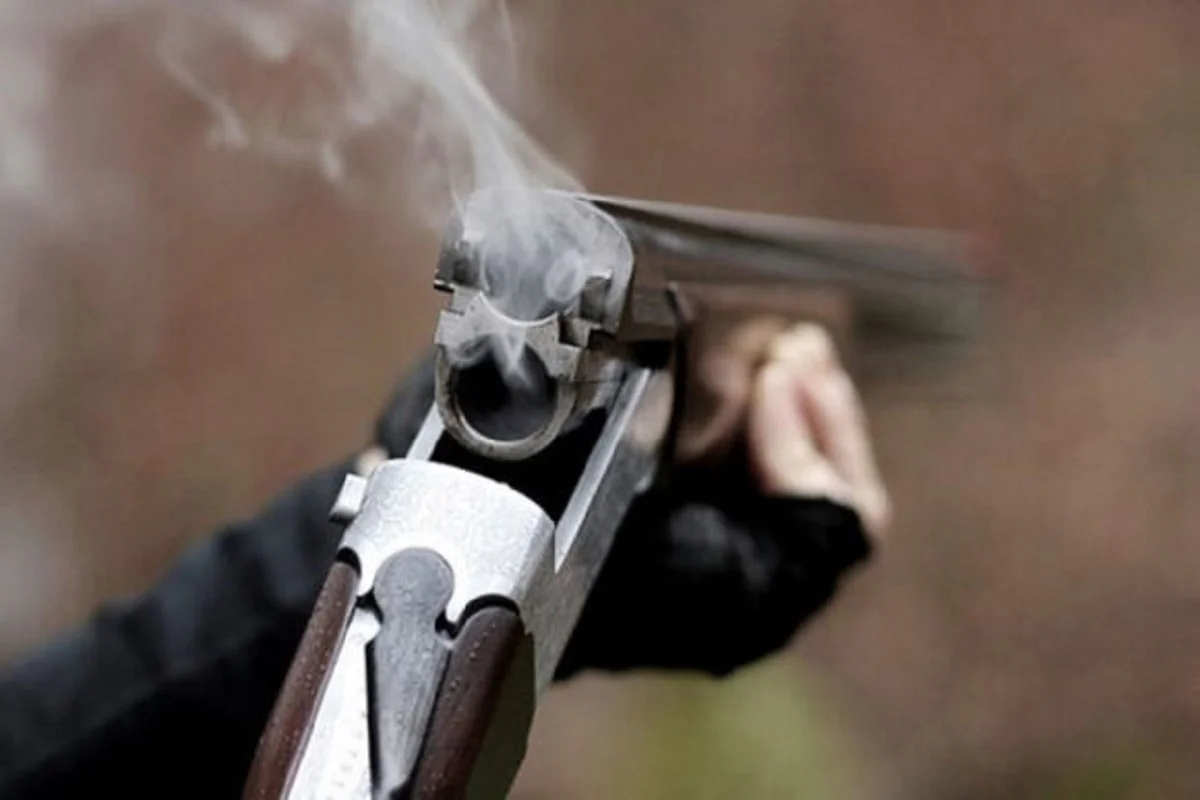 Gürcüstanda xəstəxana direktorunu qətlə yetirən polis əməkdaşı saxlanılıb