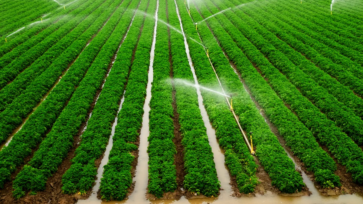 WB: About 34% of agricultural land in Azerbaijan not irrigated