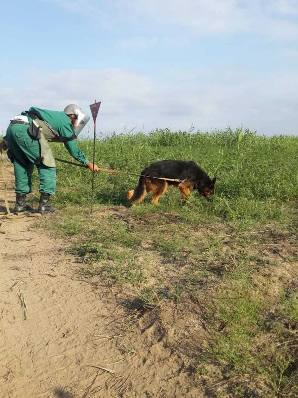 ANAMA: Sentyabrda ölkə ərazisində 579 ədəd partlamamış hərbi sursat zərərsizləşdirilib - FOTO