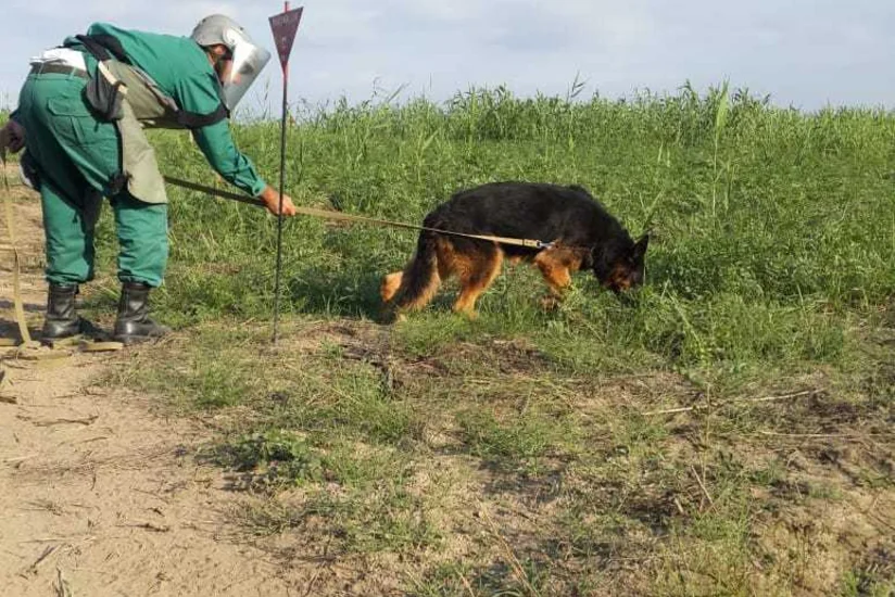 ANAMA: Sentyabrda ölkə ərazisində 579 ədəd partlamamış hərbi sursat zərərsizləşdirilib - FOTO