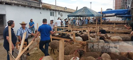 Paytaxt sakinləri qurban kəsir