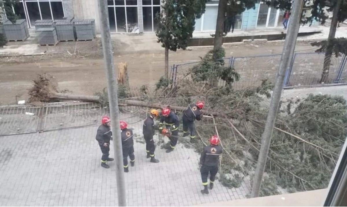 Güclü külək və qasırğa Gürcüstanda ciddi problemlər yaradıb