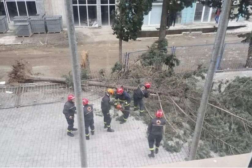 Güclü külək və qasırğa Gürcüstanda ciddi problemlər yaradıb
