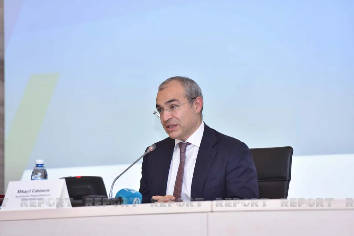 Mikayil Jabbarov: State budget revenues from real estate lease up by 76.5%