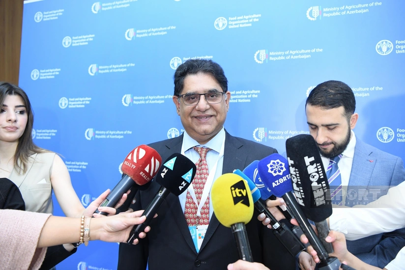 FAO and Azerbaijan improve agri-food systems program for COP29