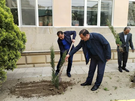 SOCAR “Heydər Əliyev İli” çərçivəsində ağacəkmə aksiyası təşkil edib