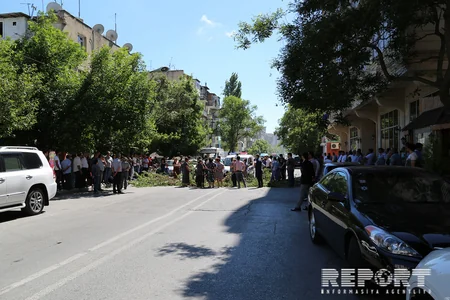 В Баку жители провели акцию протеста против вырубки деревьев - ФОТО