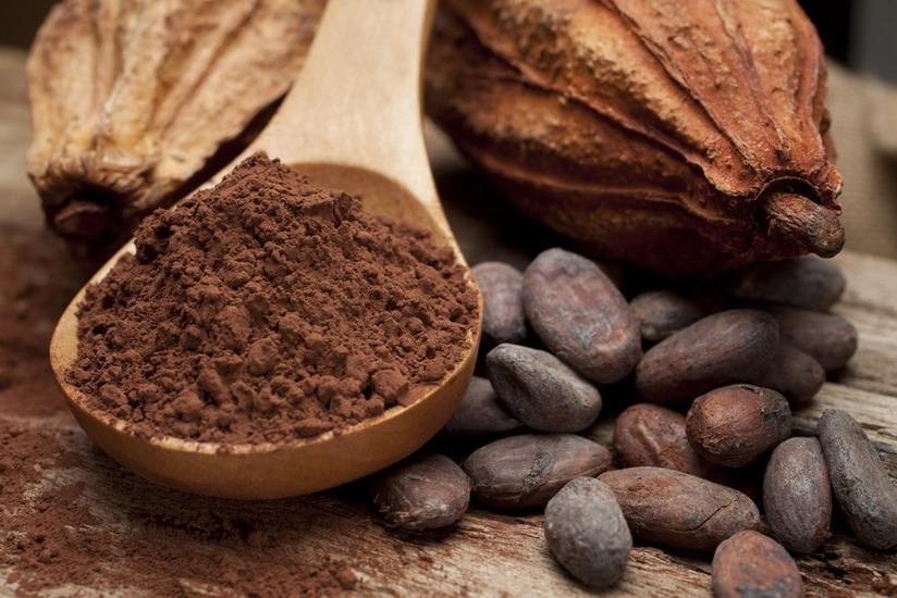 Azerbaijan increases income from cocoa exports by 57%