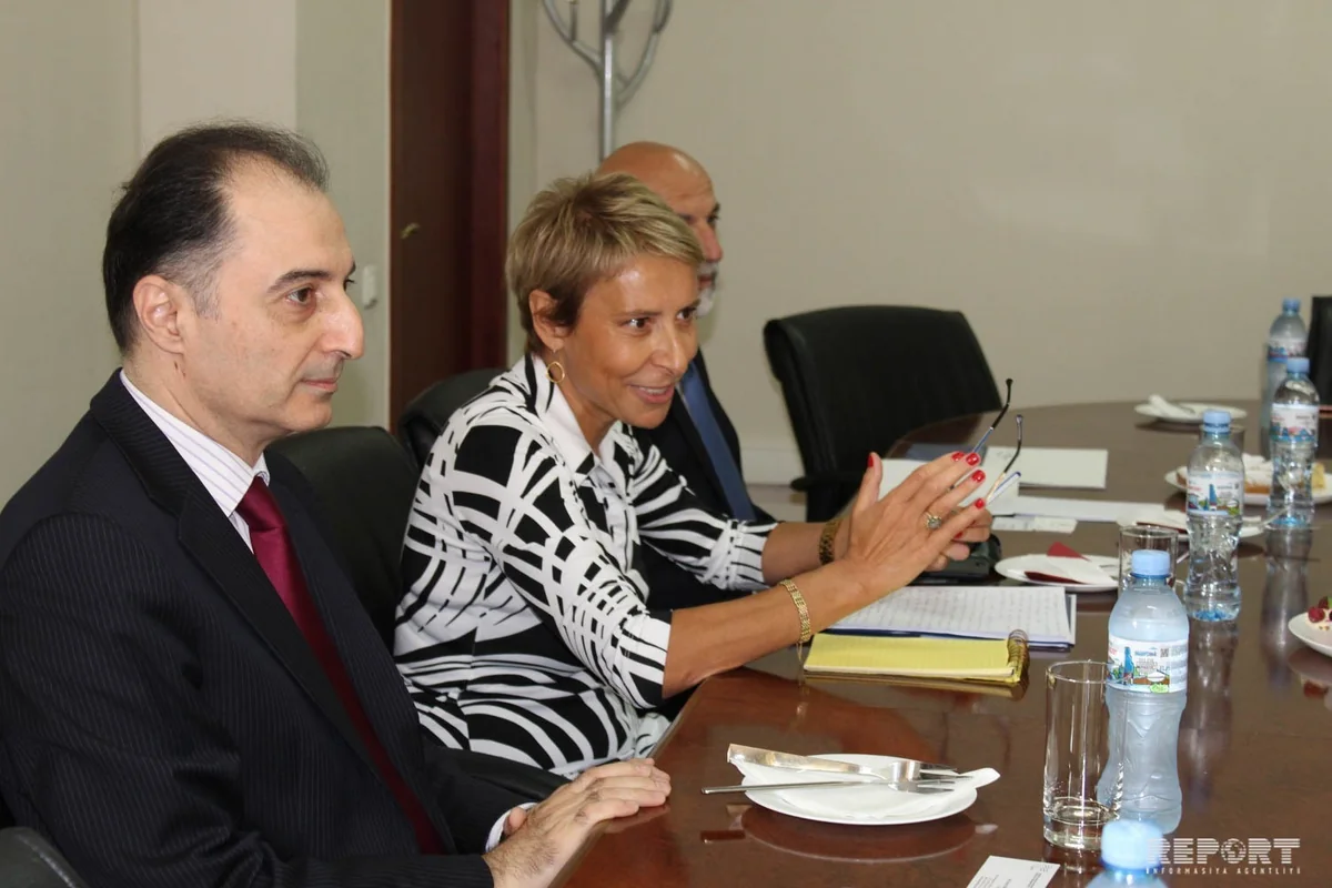 Main directions of cooperation between Azerbaijan and Georgia’s brains centers unveiled