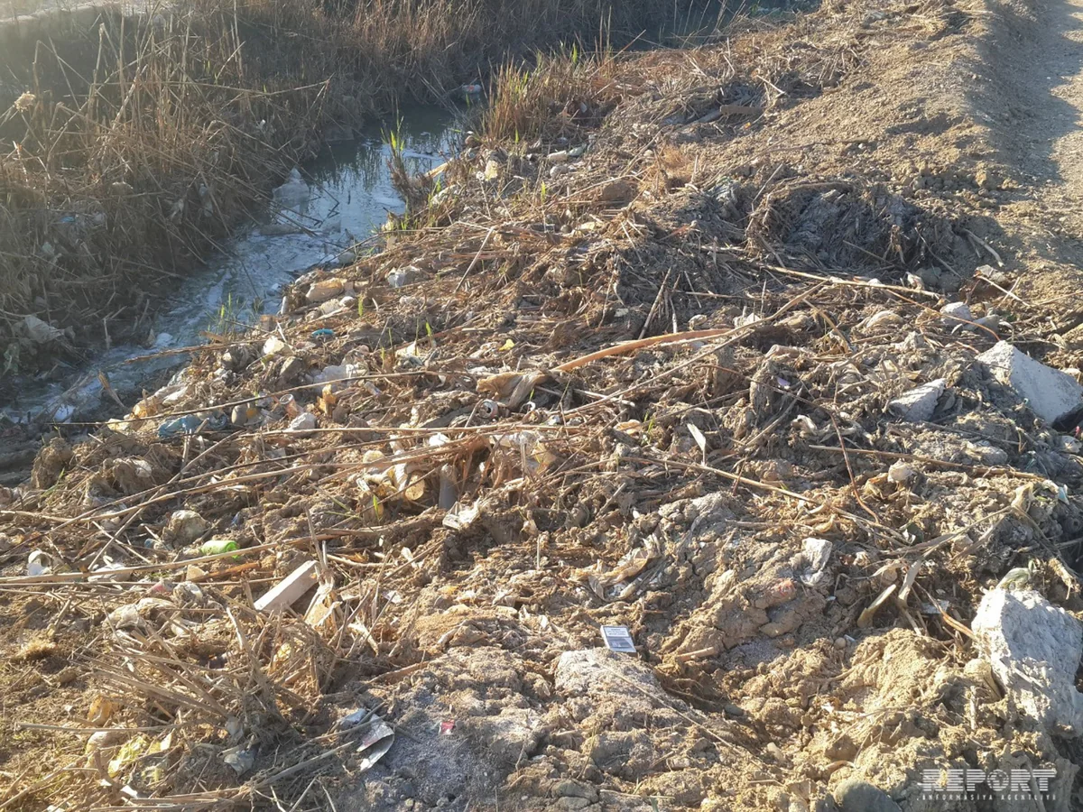 Sumqayıtda dəmir yolu yaxınlığında insan kəlləsi aşkarlanıb