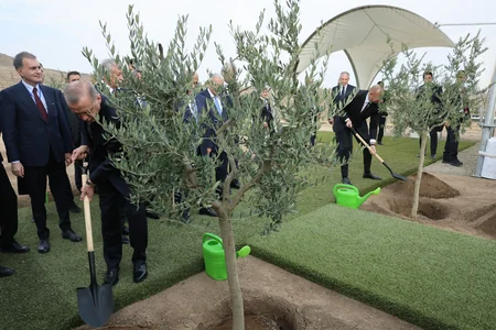 Groundbreaking held for Azerbaijan-Turkiye International Forestry Training Center, Smart Planting, and Friendship Forest Complex