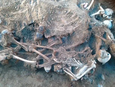 Gürcüstanda kütləvi məzarlıq aşkar olunub - FOTO