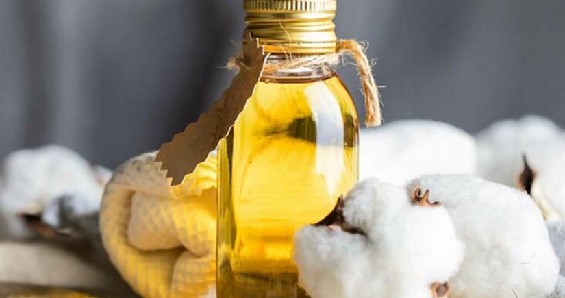 Azerbaijan observes remarkable surge in cotton oil exports to Türkiye
