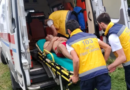 FHN-in Cənub Regional Mərkəzi təlim keçirib