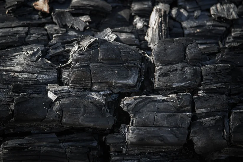 Azerbaijan's spending on charcoal imports increasing