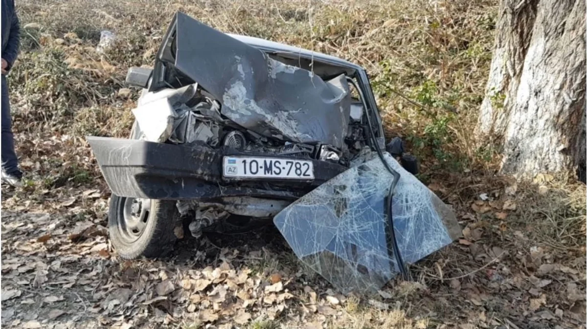 В Гейчае автомобиль врезался в дерево - ФОТО
