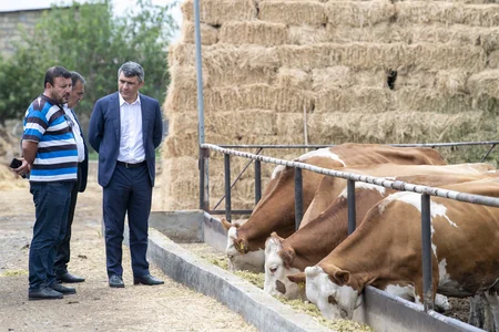 İnam Kərimov Samuxda günəbaxan əkən fermerlərlə görüşüb