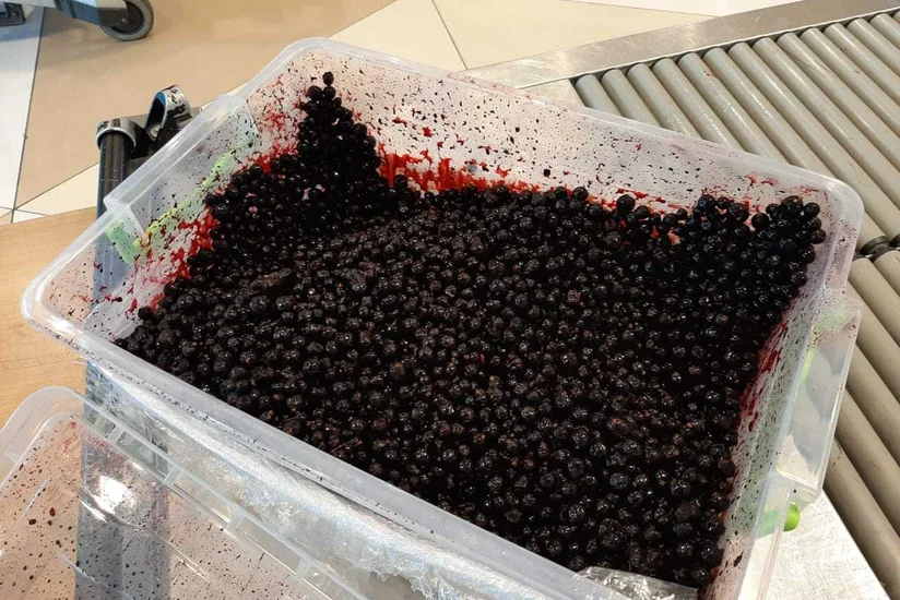 Azərbaycan gömrükçüləri 4 kq kürü müsadirə edib