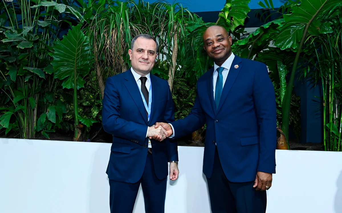 Azerbaijani FM mulls bilateral co-op, COP29 presidency with Colombian counterpart