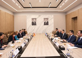 Rəşad Nəbiyev İspaniyanın Ticarət məsələləri üzrə dövlət katibi ilə görüşüb