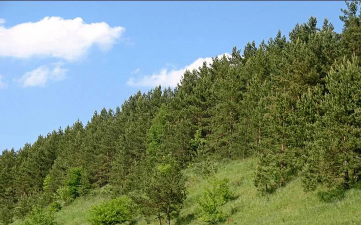 Gəncədə Ekoloji Park Kompleksi yaradılacaq