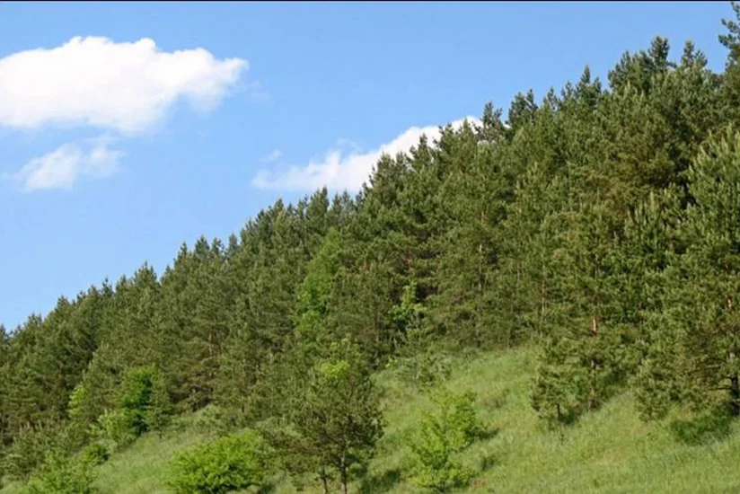 Gəncədə Ekoloji Park Kompleksi yaradılacaq