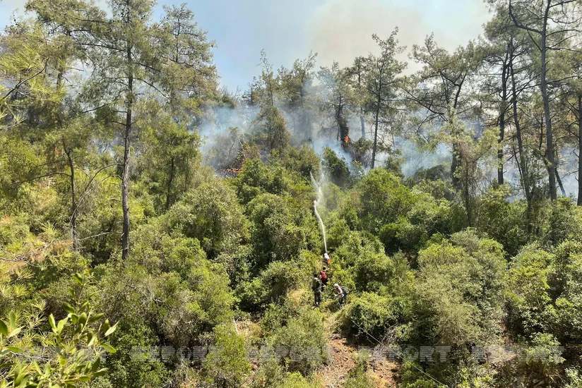 В Турции пожарные Азербайджана успешно продолжают борьбу с огнем