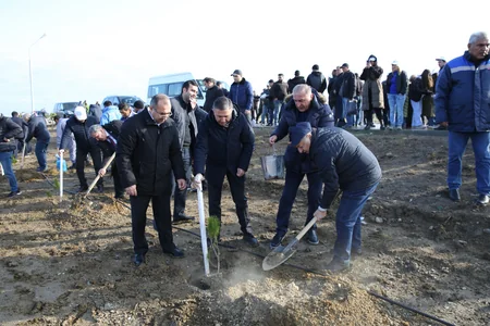 Tree-planting campaign held on 30th anniversary of New Azerbaijan Party