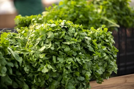 Bakıda və Abşeronda “Kənddən Şəhərə” Yeni il yarmarkaları başlayıb