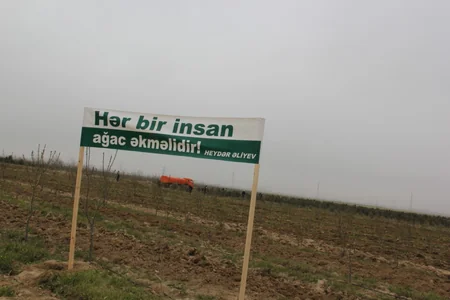 Ekologiya və Təbii Sərvətlər Nazirliyi Yer günü münasibəti ilə iməcilik keçirib