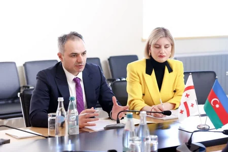Азербайджан и Грузия обсудили сотрудничество в сфере образования