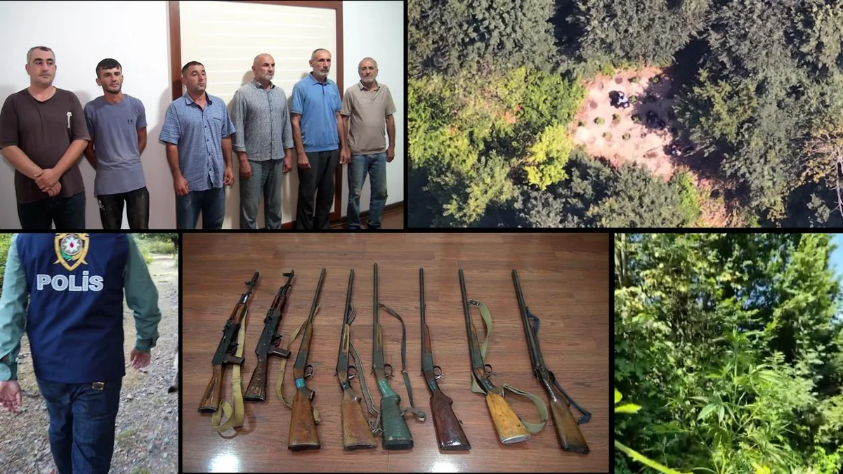 Balakəndə xüsusi əməliyyat: dağda narkotik becərən silahlı dəstə ifşa olunaraq həbs edilib