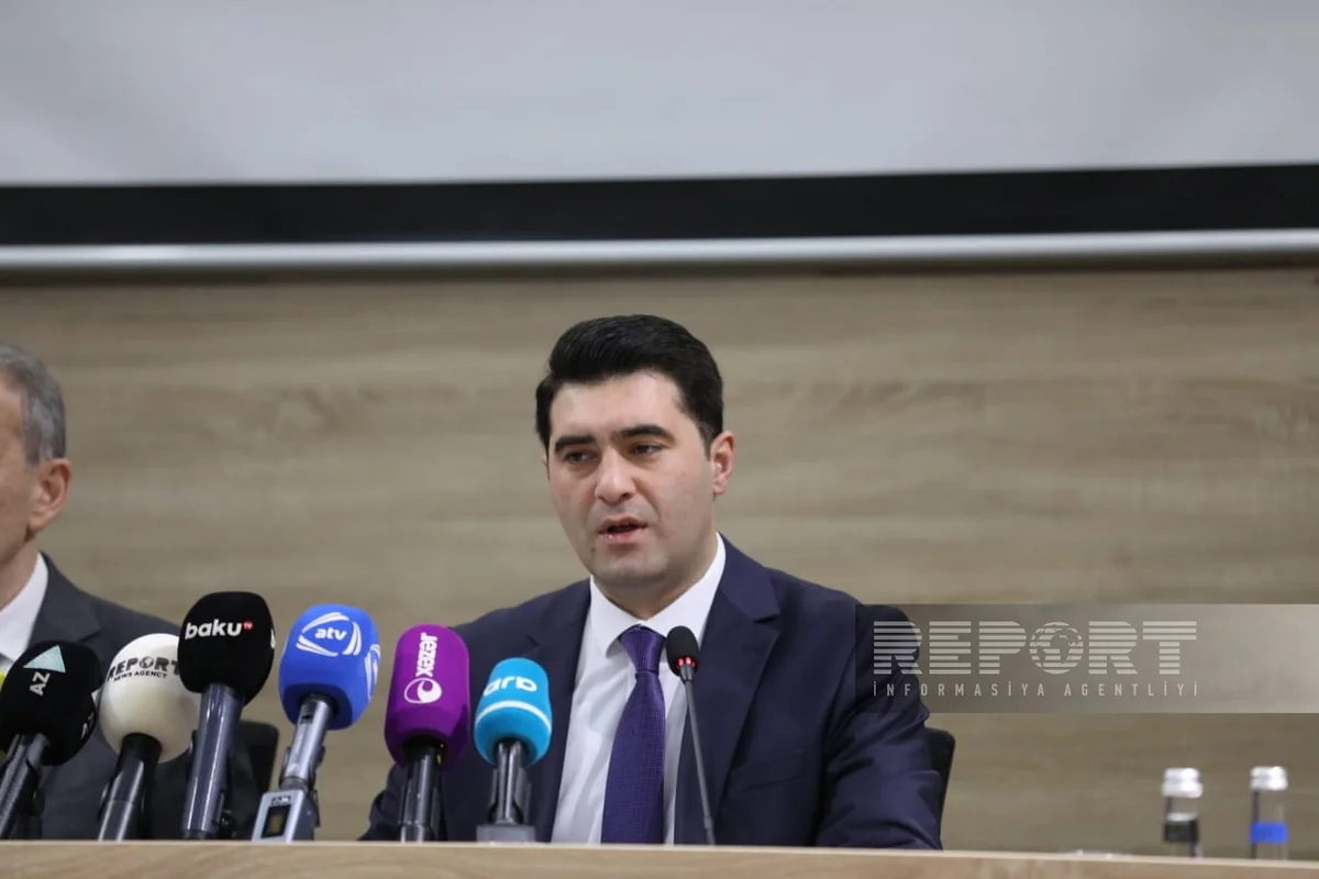 Xəzər dənizinin şimal sahillərində suitilərin ölməsinin səbəbi araşdırılır