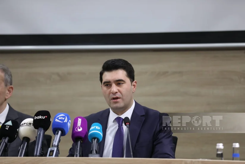 Xəzər dənizinin şimal sahillərində suitilərin ölməsinin səbəbi araşdırılır