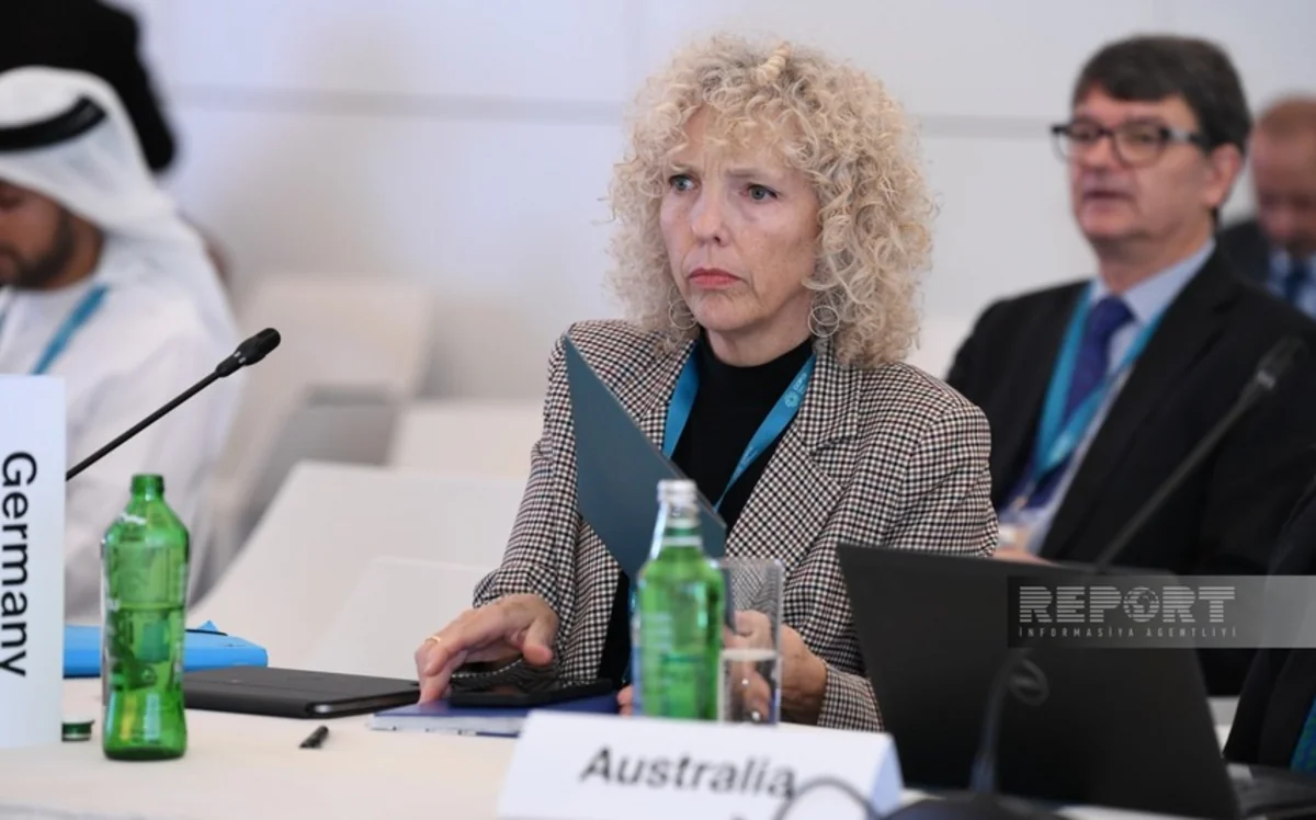Госсекретарь МИД Германии рассчитывает на инклюзивность COP29