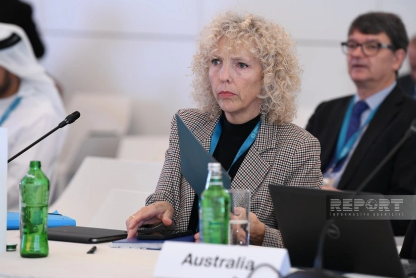 Almaniya XİN-in dövlət katibi COP29-un inklüzivliyinə ümid edir