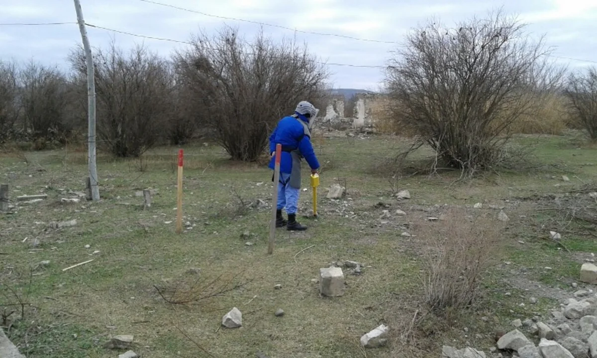 Cocuq Mərcanlıda 873 ədəd qəlpə aşkar edilib