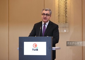 Назван объем турецких инвестиций в ненефтегазовый сектор Азербайджана