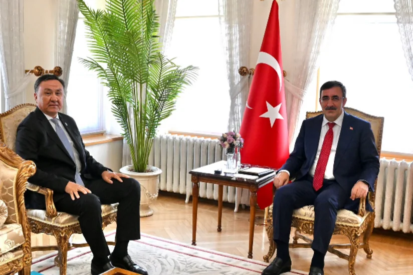TDT-nin Baş katibi Türkiyənin vitse-prezidenti ilə görüşüb