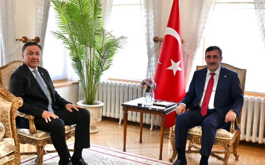 TDT-nin Baş katibi Türkiyənin vitse-prezidenti ilə görüşüb