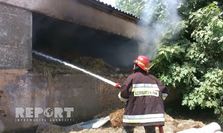 ​Lənkəranda ferma yanıb - FOTO