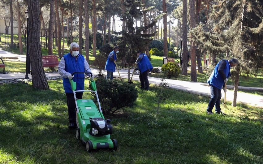 Azərbaycanda daha 18 min ödənişli iş yeri yaradılıb