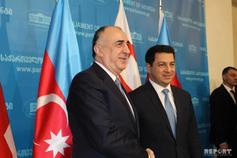 Azərbaycanın XİN başçısı Gürcüstan parlamentinin sədri ilə görüşüb