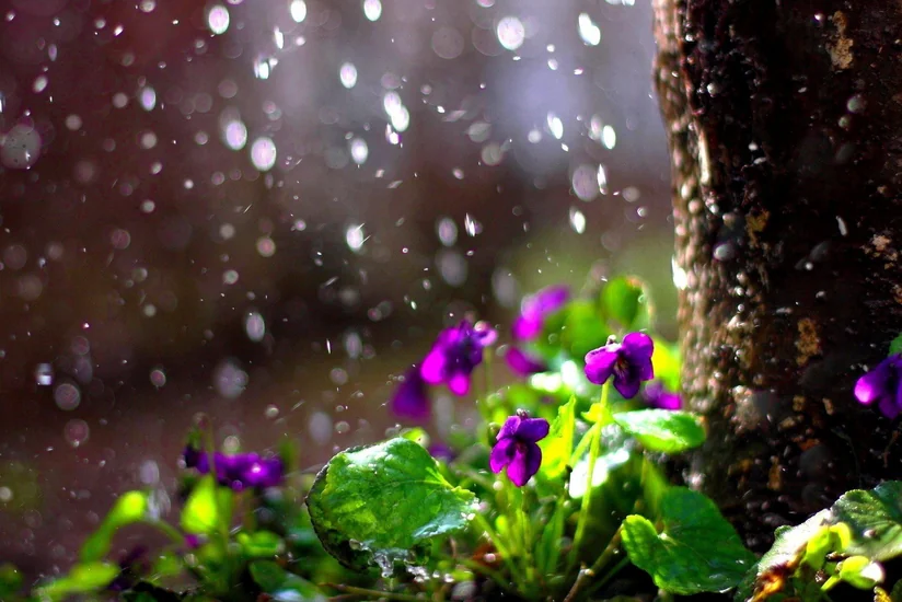 Havanın temperaturu 4-6 dərəcə aşağı enəcək, yağış yağacaq, dolu düşəcək - XƏBƏRDARLIQ