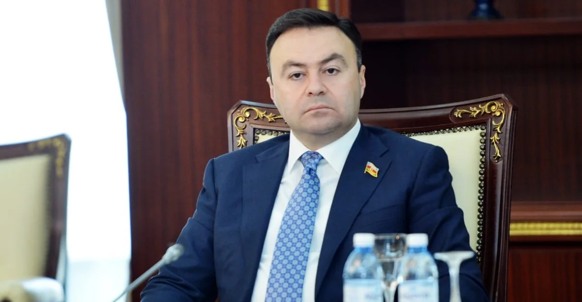 Deputat: “Gələcəkdə ərzaq təhlükəsizliyinə çəkilən xərclər azalacaq”