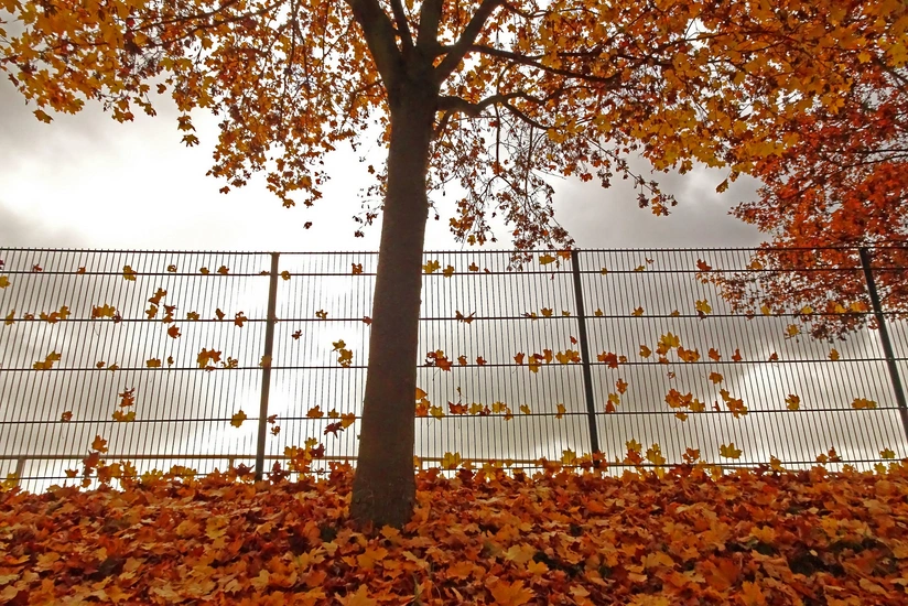 Weather forecast for tomorrow in Azerbaijan announced