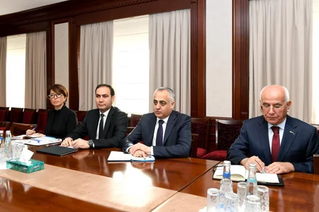 Naxçıvanda Mediasiya Şurası İdarə Heyətinin sədri və regional təşkilatların rəhbərləri ilə görüş keçirilib