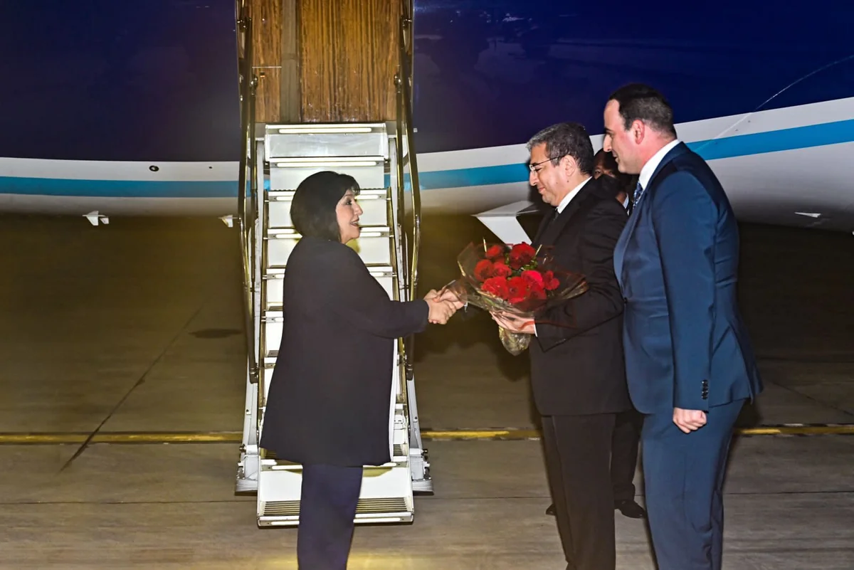 Milli Məclisin sədri Kambocaya səfər edib