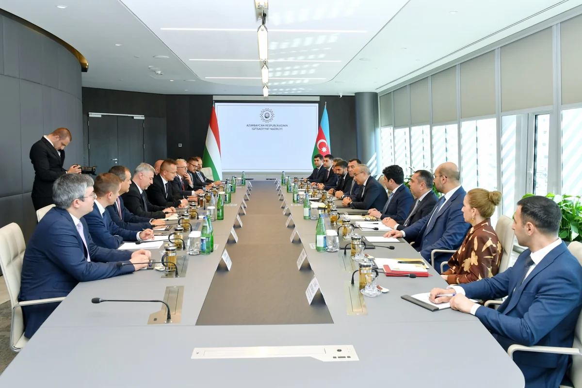 Azerbaijan, Hungary consider joint projects strengthening economic ties